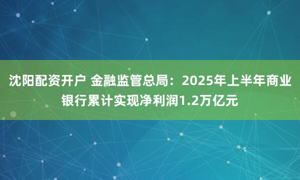 沈阳配资开户 金融监管总局:2025年上半年商业银行累计实现净利润1.2万亿元